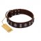 "Spiky Way" FDT Artisan Brown Leather Doberman Collar with Silver-Like Decorations