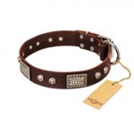 "Pirate Skull" FDT Artisan Brown Leather Doberman Collar with Old Silver Look Plates and Skulls