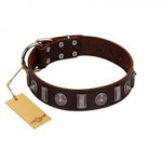 "Spiky Way" FDT Artisan Brown Leather Doberman Collar with Silver-Like Decorations