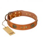 "Sun Beams" FDT Artisan Tan Leather Doberman Collar with Decorations