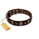 "Breaking the Horizon" FDT Artisan Brown Leather Doberman Collar with Engraved Studs and Medallions