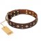 'High Fashion' FDT Artisan Embellished Brown Leather Doberman Collar