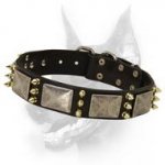 Excellent Leather Dog Collar with Massive Plates and Nickel Pyramids