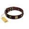 "Crazy Pirate" FDT Artisan Brown Leather Doberman Collar with Old Bronze-Plated Skulls and Plates
