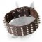 Extra Wide Doberman Leather Dog Collar with Spikes and Studs
