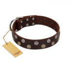 "Shadow Warrior" FDT Artisan Mystic Brown Leather Doberman Collar with Runes