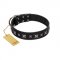 "Polar Lights" Designer FDT Artisan Black Leather Doberman Collar with Silver-Like Studs