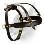 Multifunctional Leather Dog Harness For Doberman Pincher