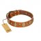 "Venus Breath" FDT Artisan Tan Leather Doberman Collar with Vintage Looking Oval and Round Studs