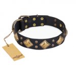 "Fancy-Schmancy" FDT Artisan Studded Leather Doberman Collar