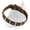 Custom Studded Leather Dog Collar for Doberman