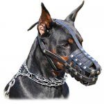 Doberman Everyday Super Ventilation Leather Muzzle