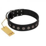 "Silent Star" Handmade FDT Artisan Designer Black Leather Doberman Collar with Engraved Plates