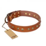 "Spring Flavor" FDT Artisan Adorned Leather Doberman Collar with Old Bronze-Plated Engraved Studs
