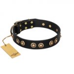 "Golden Artifact" FDT Artisan Black Leather Doberman Collar with Old-bronze Covered Medallions
