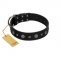 "Mr. Elegance" Designer FDT Artisan Black Leather Doberman Collar with Silver-Like Studs