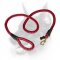 Doberman Dog Heavy-duty Nylon Cord for All-weather Activities