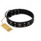 "Black Jack" Stylish Handmade FDT Artisan Black Leather Doberman Collar