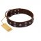 "Skull Valley" Handcrafted FDT Artisan Brown Leather Doberman Collar with Skulls