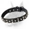 Small pyramids/studs 3 rows leather dog collar for Dobermans