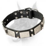 Extraordinary Leather Collar - Doberman Collar with Silver Plates and Pyramids