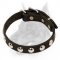 Elegant Leather Dog Collar with Round Nickel-Plated Studs