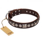 "Pierian spring" FDT Artisan Brown Leather Doberman Collar with Silvery Decorations