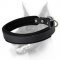 Best Padded Leather Dog Collar - Doberman Collar with Padding 1 inch (2.5cm) width