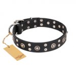 "Refined Essence" FDT Artisan Black Leather Doberman Collar with Silvery Studs