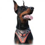 Gorgeous Hand Painted Leather Harness for Doberman Pincher