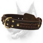 Gorgeous Wide 2 Ply Leather Dog Collar for Noble Dobermans