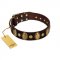 "Retro Pusle" FDT Artisan Brown Leather Doberman Collar with Old Bronze-like Studs and Oval Brooches