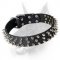 Leather Dog Collar with 3 Rows of Spikes for Doberman