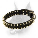 "Unveiled Luxury" Spiked Leather Doberman Dog Collar