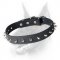 Leather Dog Collar with Row of Silverish Spikes