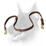 Buy Leather Police Agitation Lead 5,7 FT for Doberman training