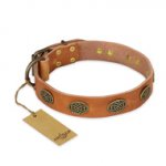 "Magic Amulet" FDT Artisan Tan Leather Doberman Collar with Oval Studs