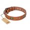 "Stunning Dress" FDT Artisan Tan Leather Doberman Collar with Old Bronze Look Plates and Studs