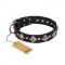 'Silver Charm' FDT Artisan Doberman Leather Collar with Studs and Plates