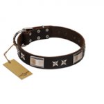 "Satin Beauts" FDT Artisan Brown Leather Doberman Collar with Stars and Plates