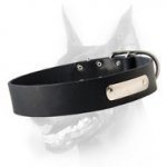 Specialized Leather Doberman Collar with ID Tag