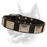 Handcrafted Leather Dog Collar With Vintage Massive Plates