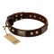 "Magic Amulet" Brown Leather Doberman Collar with Skulls and Plates