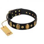 "Venerable Pawty" FDT Artisan Black Leather Doberman Collar with Old Bronze-like Ovals and Studs