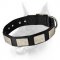 Nylon Dog Collar For Large and Medium Breeds With Vintage Plates