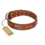 "Great Obelisk" Handcrafted FDT Artisan Tan Leather Doberman Collar with Large Plates and Pyramids