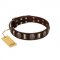 "Skull's Adventure" FDT Artisan Brown Leather Doberman Collar with Plates and Ovals