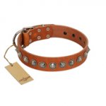 "Silver Spike" Handmade FDT Artisan Tan Leather Doberman Collar with Old Silver-Like Spikes