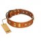 "Egyptian Script" FDT Artisan Tan Leather Doberman Collar with Plates and Small Studs