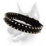 Black Colored Nylon Spiked Dog Collar- Most Durable Dog Collar With Shiny Spikes